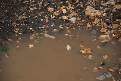 Colour photograph of a muddy brown puddle in the lane