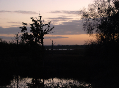 Colour photograph of an orange and grey sky, with trees outlined against it and reflected in the water in the foreground.