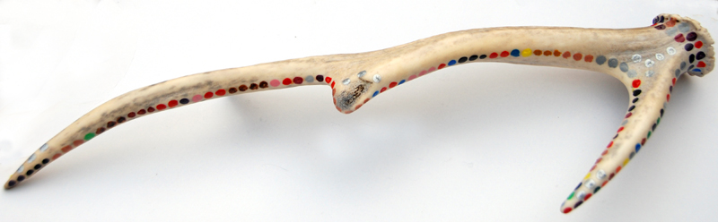 Colour photograph of the finished antler, painted with coloured dots around its edges.