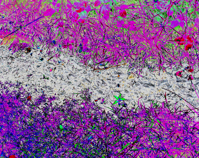 Digitally manipulated photograph, showing the soil as pink and purple and the path as white.