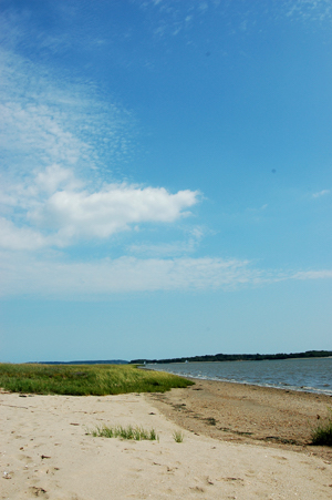 Colour photograph showing a strip of soft yellow sand bordering wet sand and salt water, stretching into the distance under a blue sky. Land is visible across the water, and grasses grow through the sand in the distance.