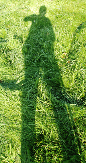 Colour photograph of a shadow of someone standing with a stick, cast over very long green grass.