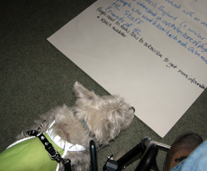 Colour photograph of a Westie gazing at a list on the floor.