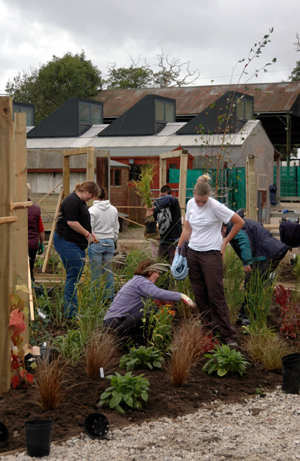 Colour photograph of people planting out a garden, with the Stables Studios behind.