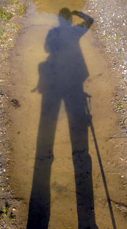 Colour photograph of my shadow cast across a puddle in the lane.