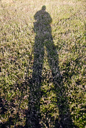 Colour photograph of a shadow figure against heather, with the legs and walking stick elongated in comparison to the very small head and body.