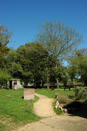 Colour photograph of an expanse of grass in front of trees. A path leads across the grass towards a shed among the trees before it turns off to the right, and the sky is very blue.