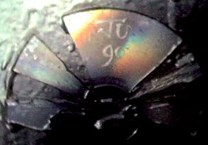 Close-up photograph of the shattered CD on the back of Ju's brace, reflecting rainbow colours